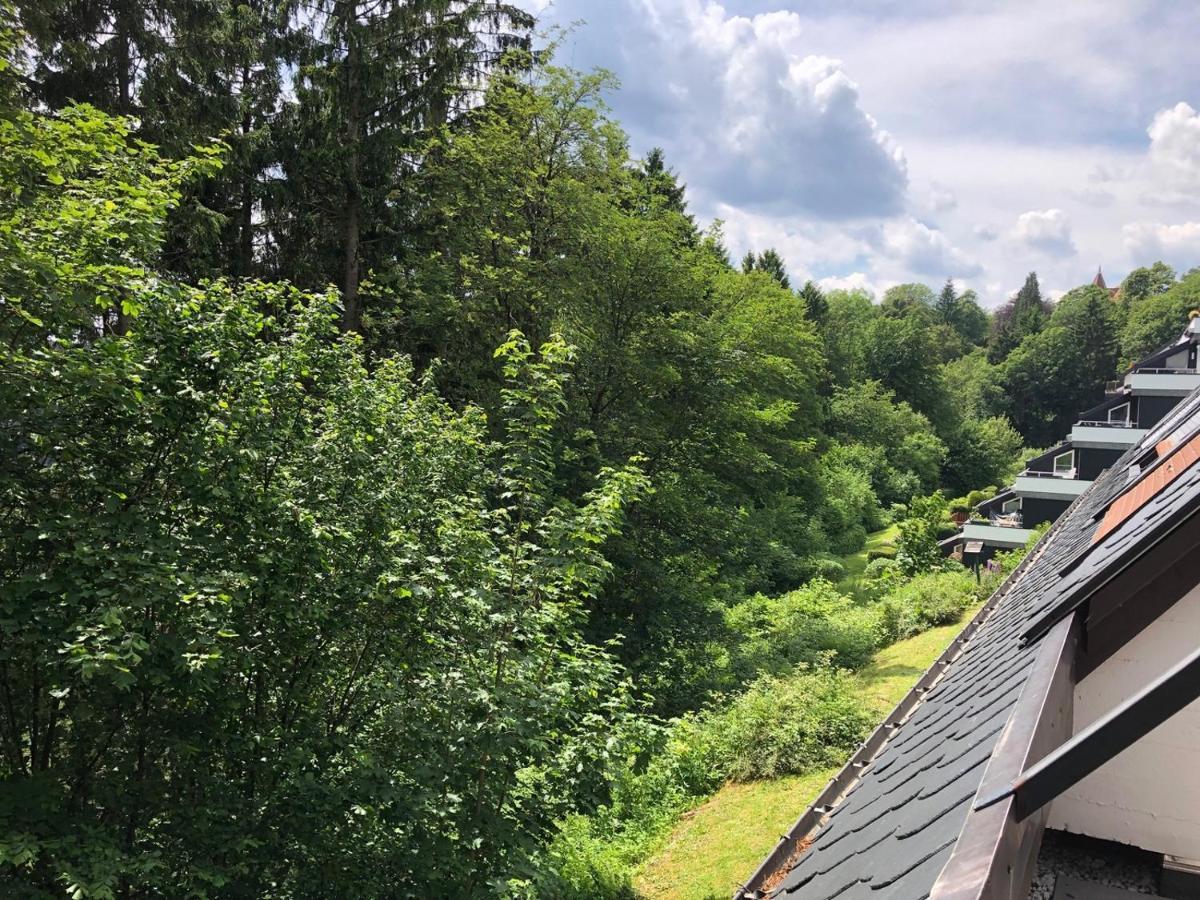 Pistenblume Apartment - Skipiste, Stadtzentrum 温特贝格 外观 照片